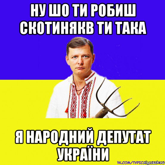 ну шо ти робиш скотинякв ти така я народний депутат україни, Мем ляшко