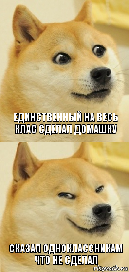 единственный на весь клас сделал домашку сказал одноклассникам что не сделал