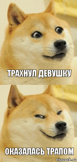 Трахнул девушку Оказалась трапом, Комикс   DOGE довольный