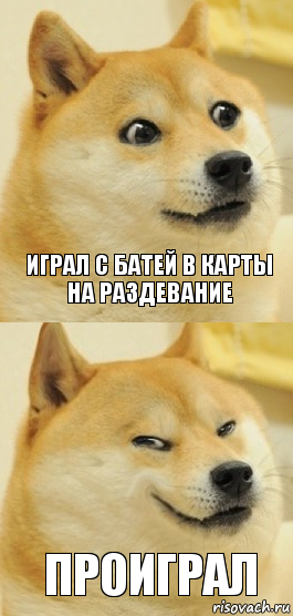 Играл с батей в карты на раздевание Проиграл, Комикс   DOGE довольный