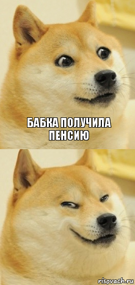 Бабка получила пенсию , Комикс   DOGE довольный