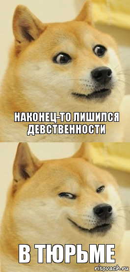 Наконец-то лишился девственности В тюрьме, Комикс   DOGE довольный