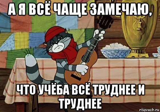 а я всё чаще замечаю, что учёба всё труднее и труднее, Мем Грустный Матроскин с гитарой