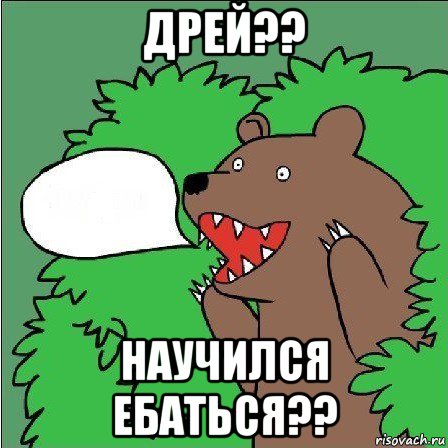 дрей?? научился ебаться??, Мем Медведь-шлюха