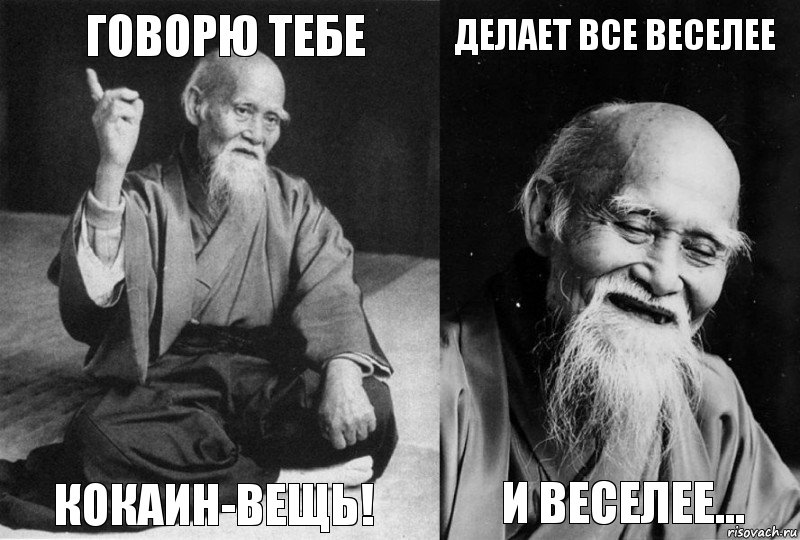 Говорю тебе кокаин-вещь! делает все веселее и веселее..., Комикс Мудрец-монах (4 зоны)