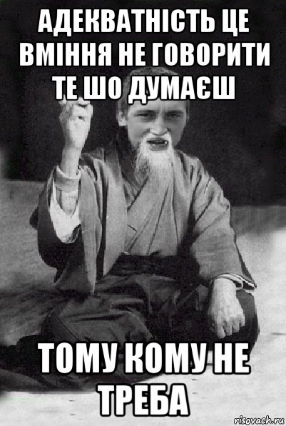 адекватність це вміння не говорити те шо думаєш тому кому не треба, Мем Мудрий паца