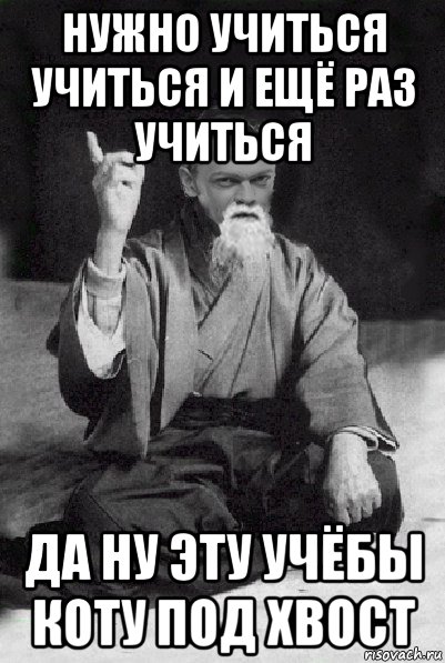 нужно учиться учиться и ещё раз учиться да ну эту учёбы коту под хвост, Мем Мудрий Виталька