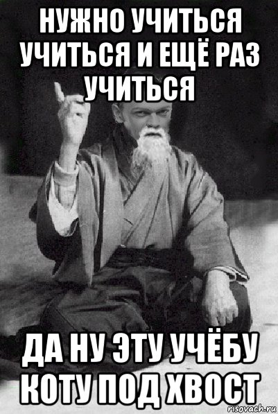 нужно учиться учиться и ещё раз учиться да ну эту учёбу коту под хвост, Мем Мудрий Виталька