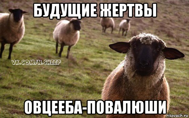 будущие жертвы овцееба-повалюши, Мем  Наивная Овца