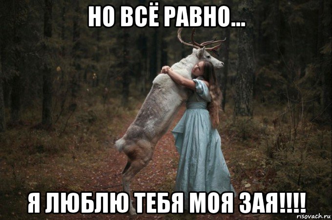 но всё равно... я люблю тебя моя зая!!!!, Мем Наивный Олень шаблон 5