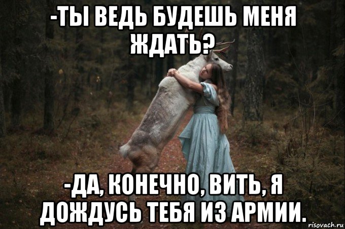 -ты ведь будешь меня ждать? -да, конечно, вить, я дождусь тебя из армии., Мем Наивный Олень шаблон 5