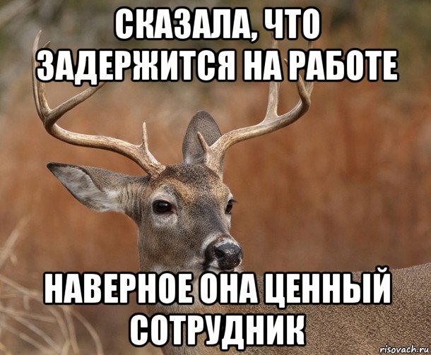 сказала, что задержится на работе наверное она ценный сотрудник, Мем  Наивный Олень v2