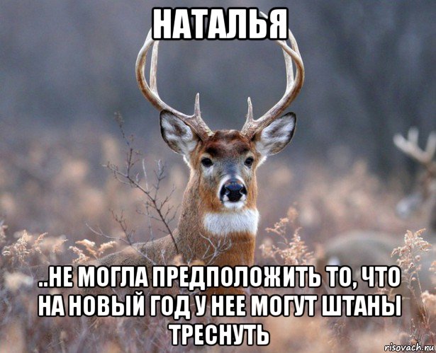 наталья ..не могла предположить то, что на новый год у нее могут штаны треснуть, Мем   Наивный олень