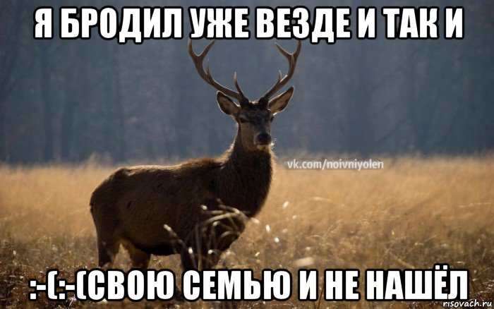 я бродил уже везде и так и :-(:-(свою семью и не нашёл