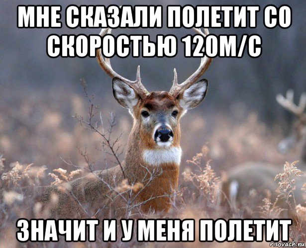 мне сказали полетит со скоростью 120м/с значит и у меня полетит, Мем   Наивный олень