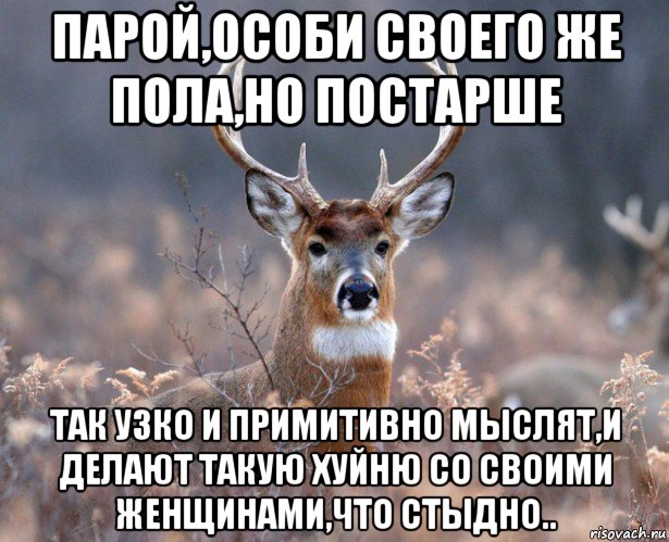 парой,особи своего же пола,но постарше так узко и примитивно мыслят,и делают такую хуйню со своими женщинами,что стыдно.., Мем   Наивный олень