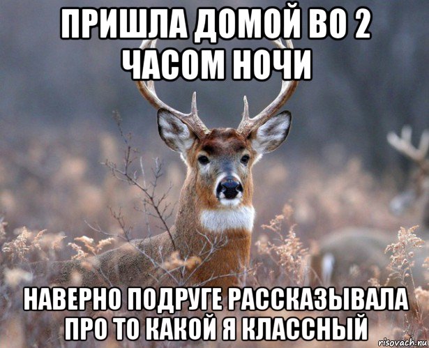 пришла домой во 2 часом ночи наверно подруге рассказывала про то какой я классный, Мем   Наивный олень