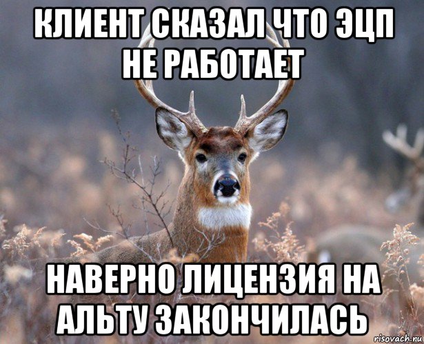 клиент сказал что эцп не работает наверно лицензия на альту закончилась, Мем   Наивный олень