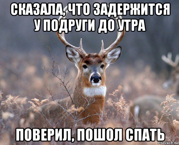 сказала, что задержится у подруги до утра поверил, пошол спать, Мем   Наивный олень