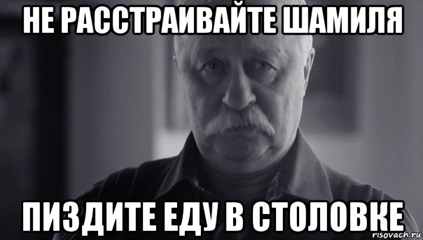 не расстраивайте шамиля пиздите еду в столовке, Мем Не огорчай Леонида Аркадьевича