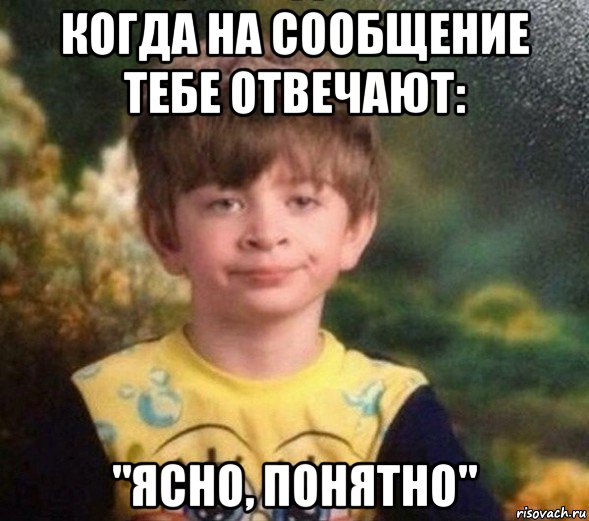 когда на сообщение тебе отвечают: "ясно, понятно", Мем Недовольный пацан