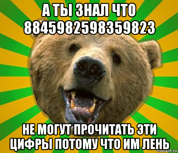 а ты знал что 8845982598359823 не могут прочитать эти цифры потому что им лень, Мем Нелепый медведь