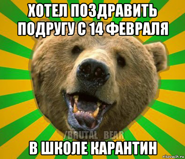 хотел поздравить подругу с 14 февраля в школе карантин, Мем Нелепый медведь