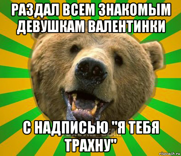 раздал всем знакомым девушкам валентинки с надписью "я тебя трахну", Мем Нелепый медведь