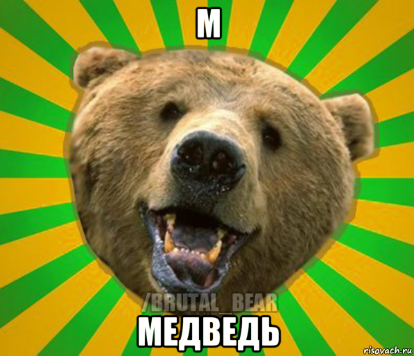 м медведь, Мем Нелепый медведь