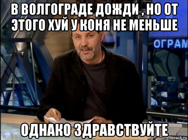 в волгограде дожди , но от этого хуй у коня не меньше однако здравствуйте, Мем Однако Здравствуйте