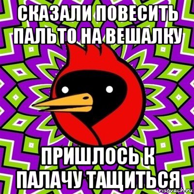 сказали повесить пальто на вешалку пришлось к палачу тащиться, Мем Омская птица