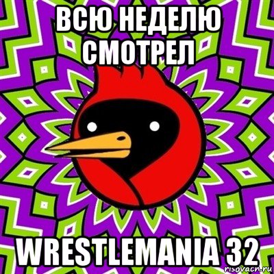 всю неделю смотрел wrestlemania 32, Мем Омская птица