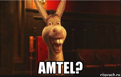  amtel?, Мем Осел из Шрека