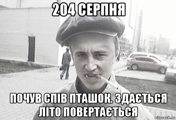 204 серпня почув спів пташок. здається літо повертається, Мем Пацанська философия