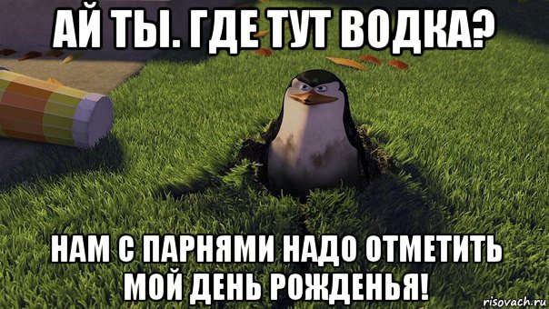 ай ты. где тут водка? нам с парнями надо отметить мой день рожденья!, Мем  ПИНГВИН