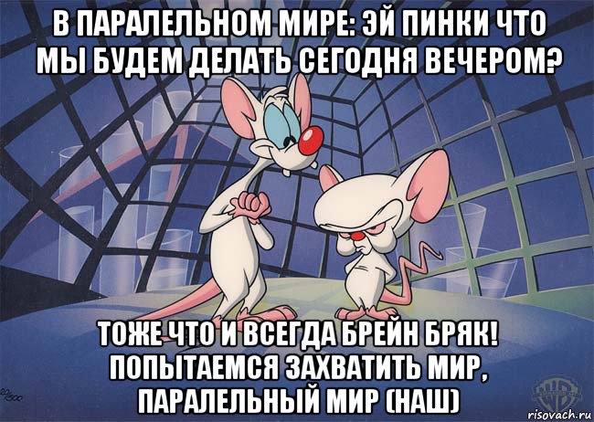 в паралельном мире: эй пинки что мы будем делать сегодня вечером? тоже что и всегда брейн бряк! попытаемся захватить мир, паралельный мир (наш), Мем ПИНКИ И БРЕЙН