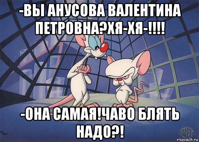 -вы анусова валентина петровна?хя-хя-!!!! -она самая!чаво блять надо?!, Мем ПИНКИ И БРЕЙН