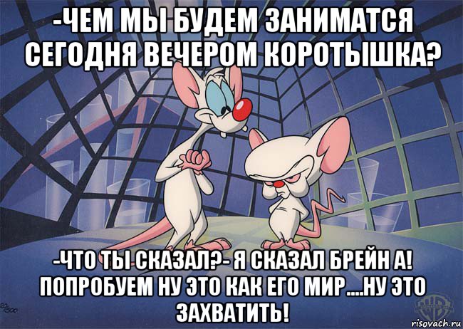 -чем мы будем заниматся сегодня вечером коротышка? -что ты сказал?- я сказал брейн а! попробуем ну это как его мир....ну это захватить!, Мем ПИНКИ И БРЕЙН