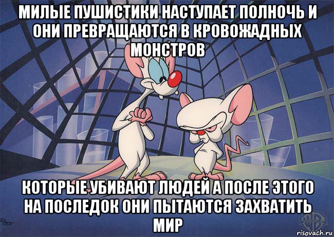 милые пушистики наступает полночь и они превращаются в кровожадных монстров которые убивают людей а после этого на последок они пытаются захватить мир, Мем ПИНКИ И БРЕЙН