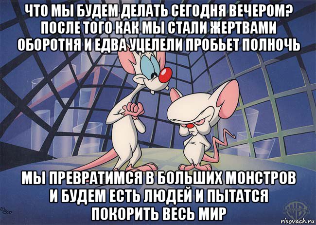 что мы будем делать сегодня вечером? после того как мы стали жертвами оборотня и едва уцелели пробьет полночь мы превратимся в больших монстров и будем есть людей и пытатся покорить весь мир, Мем ПИНКИ И БРЕЙН