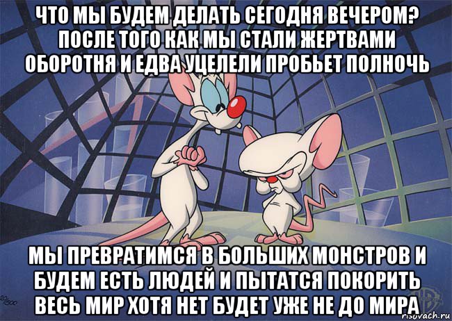 что мы будем делать сегодня вечером? после того как мы стали жертвами оборотня и едва уцелели пробьет полночь мы превратимся в больших монстров и будем есть людей и пытатся покорить весь мир хотя нет будет уже не до мира, Мем ПИНКИ И БРЕЙН