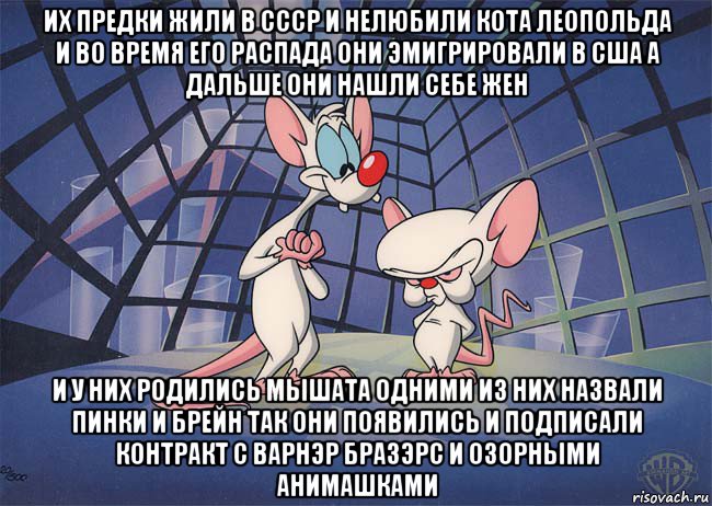 их предки жили в ссср и нелюбили кота леопольда и во время его распада они эмигрировали в сша а дальше они нашли себе жен и у них родились мышата одними из них назвали пинки и брейн так они появились и подписали контракт с варнэр бразэрс и озорными анимашками, Мем ПИНКИ И БРЕЙН