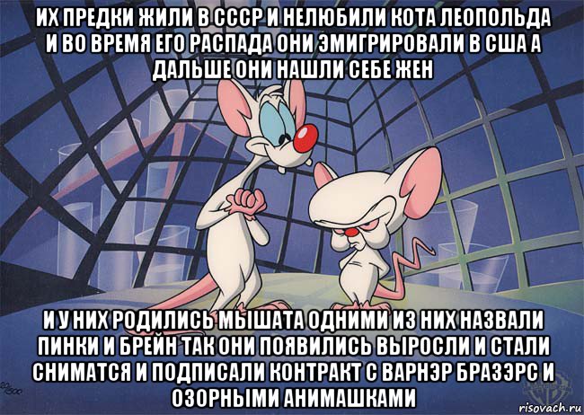 их предки жили в ссср и нелюбили кота леопольда и во время его распада они эмигрировали в сша а дальше они нашли себе жен и у них родились мышата одними из них назвали пинки и брейн так они появились выросли и стали сниматся и подписали контракт с варнэр бразэрс и озорными анимашками, Мем ПИНКИ И БРЕЙН