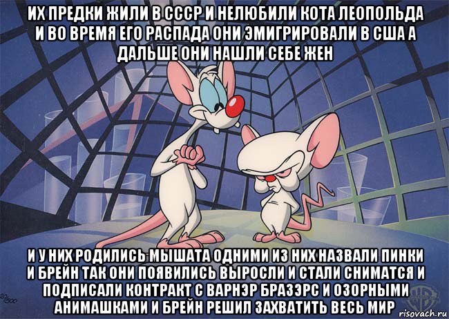 их предки жили в ссср и нелюбили кота леопольда и во время его распада они эмигрировали в сша а дальше они нашли себе жен и у них родились мышата одними из них назвали пинки и брейн так они появились выросли и стали сниматся и подписали контракт с варнэр бразэрс и озорными анимашками и брейн решил захватить весь мир, Мем ПИНКИ И БРЕЙН