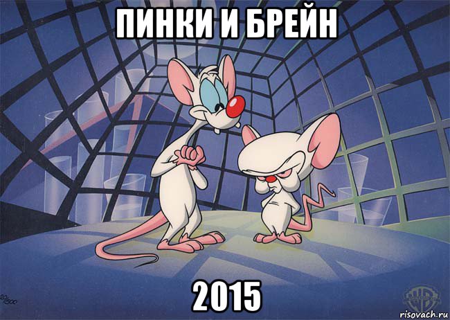 пинки и брейн 2015, Мем ПИНКИ И БРЕЙН