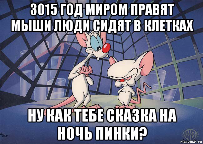 3015 год миром правят мыши люди сидят в клетках ну как тебе сказка на ночь пинки?, Мем ПИНКИ И БРЕЙН