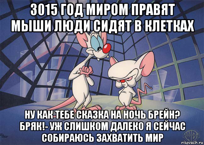 3015 год миром правят мыши люди сидят в клетках ну как тебе сказка на ночь брейн? бряк!- уж слишком далеко я сейчас собираюсь захватить мир