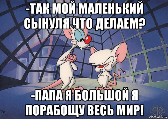 -так мой маленький сынуля что делаем? -папа я большой я порабощу весь мир!