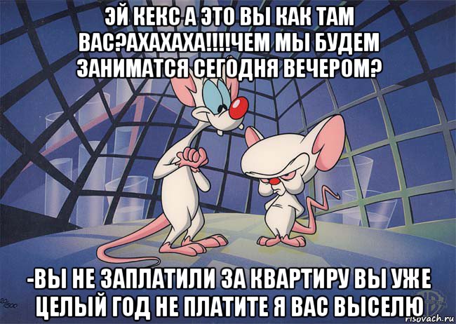 эй кекс а это вы как там вас?ахахаха!!!!чем мы будем заниматся сегодня вечером? -вы не заплатили за квартиру вы уже целый год не платите я вас выселю, Мем ПИНКИ И БРЕЙН