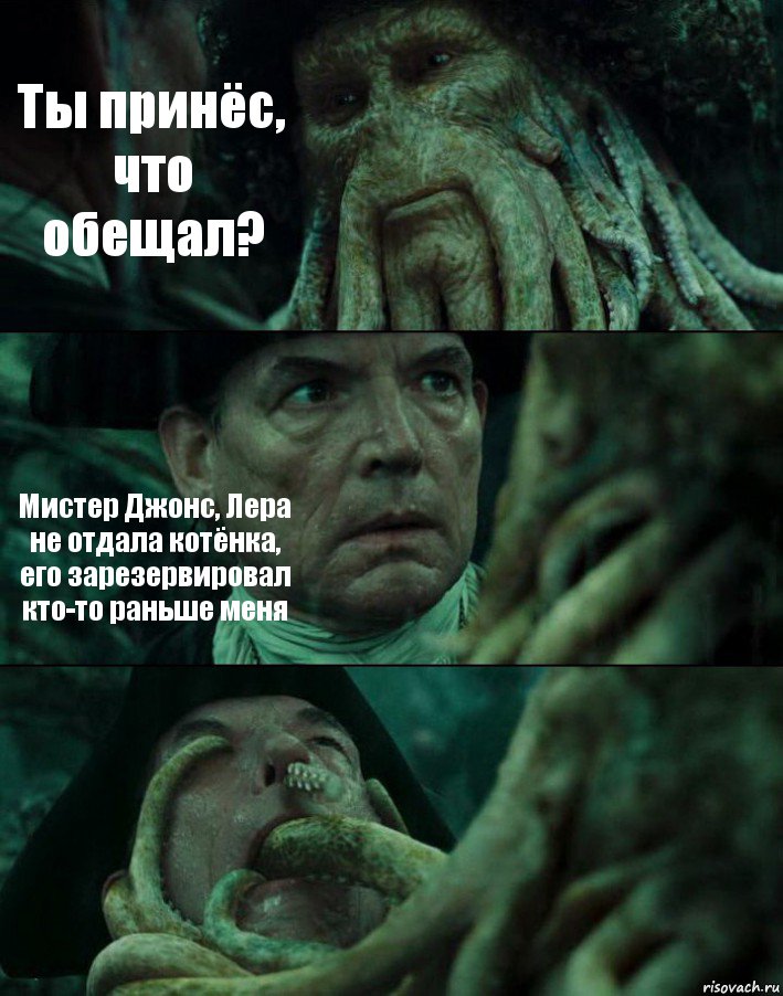 Ты принёс, что обещал? Мистер Джонс, Лера не отдала котёнка, его зарезервировал кто-то раньше меня , Комикс Пираты Карибского моря